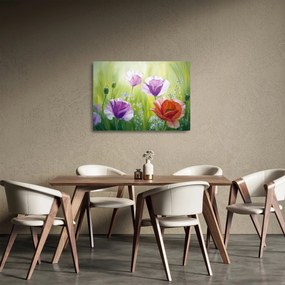 Obraz na szkle - Maki (70x50 cm)