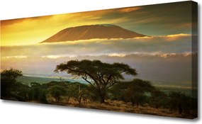 Obraz na płótnie Drzewo na Górskim Szczycie