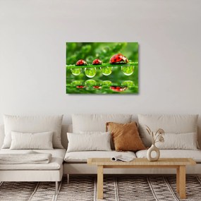 Obraz na szkle - Sunshine of the Seven Suns (70x50 cm)