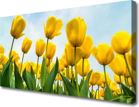 Obraz canvas Pole Tęczowych Tulipanów