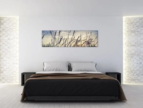 Obraz kwiatów łąkowych (170x50 cm)
