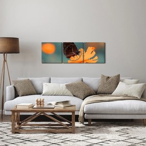 Obraz - motyl na pomarańczowym kwiatku (z zegarem) (90x30 cm)