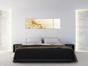 Obraz - Zdjęcie makro mniszka lekarskiego (170x50 cm)