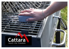 Szczotka do czyszczenia 4 szt. – Cattara