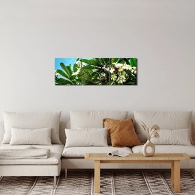 Obraz - Plumeria (z zegarem) (90x30 cm)