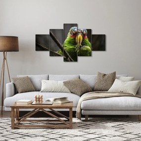Obraz papugi (125x70 cm)