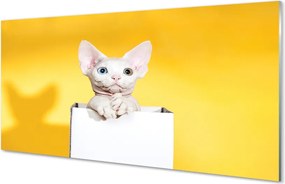 Panel szklany do Kuchni Kot w Oczekiwaniu