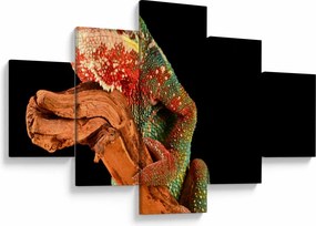 Obraz kameleona na gałęzi (125x70 cm)