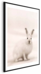 Plakat Strachliwe spojrzenie 40x60 cm z ramą czarną z marginesem ARTGEIST B