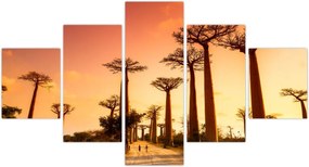 Obraz - Zachód słońca w Baobab Alley (125x70 cm)