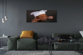 Obraz canvas na ścianę Pies w Czapce Kucharskiej