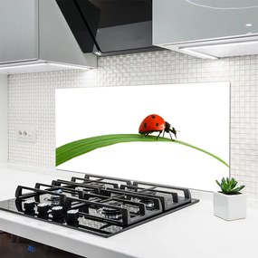 Panel Kuchenny Mała Biedronka W Trawie