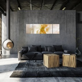 Obraz - Kwiat (170x50 cm)