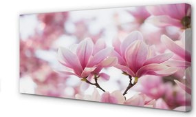 Fotoobraz na płótnie Drzewa Magnolii