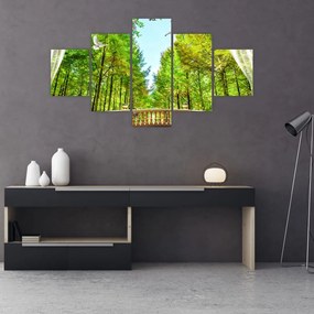 Obraz - Widok na las (125x70 cm)