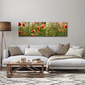 Obraz maków (170x50 cm)