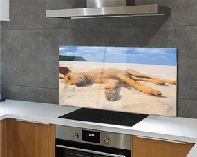 Szklany Panel Relaks Psa na Gorącym Piasku