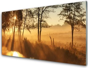 Panel Kuchenny Leśna Gęstwina Drzew