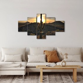 Obraz - kaktusy w słońcu (125x70 cm)