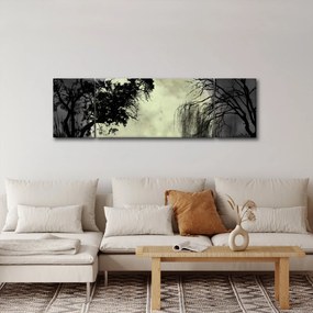 Obraz - Księżyc w pełni nad powierzchnią, wersja czarno - biała (170x50 cm)
