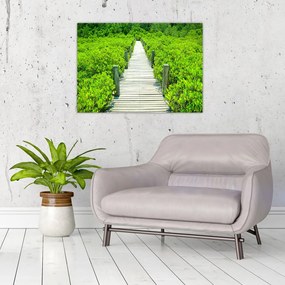 Obraz na szkle - drewniany chodnik (70x50 cm)