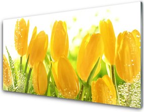 Szkło do Kuchni na Ścianę Tulipany w Pełnym Rozkwicie