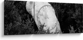 Obraz - Paw, czarno - biały (z zegarem) (90x30 cm)