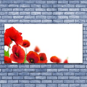 Zdjęcie na płótnie Czerwone Maki w Słońcu