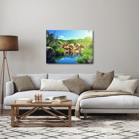 Obraz jeziora w dżungli Seszeli (70x50 cm)