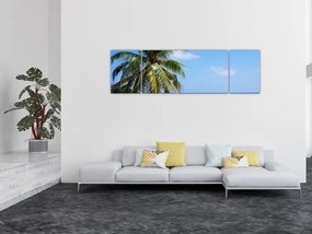 Obraz palmy na plaży (170x50 cm)
