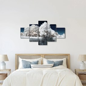Obraz - Śnieżnobiałe drzewa (125x70 cm)
