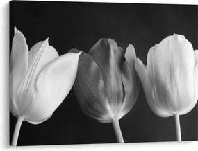 Obraz - Czarno - białe kwiaty tulipanów (70x50 cm)