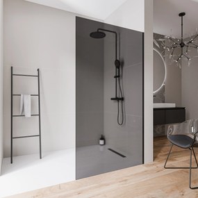 Ścianka prysznicowa Walk-In EX102-2 bezpieczne szkło szare Nano 10 mm