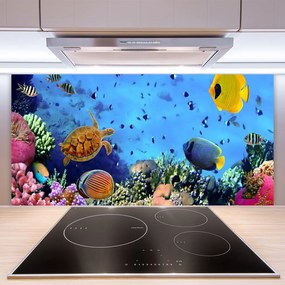 Panel nad blat kuchenny Podwodny Świat Rafy Koralowej