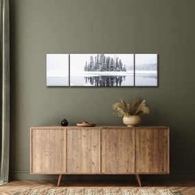 Obraz - Było biało (170x50 cm)
