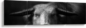 Obraz - Krowa (170x50 cm)