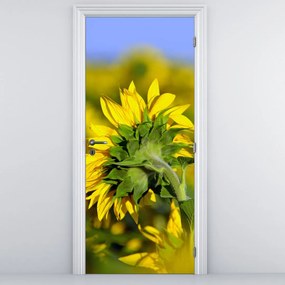 Fototapeta na drzwi - Słonecznik (95x205cm)