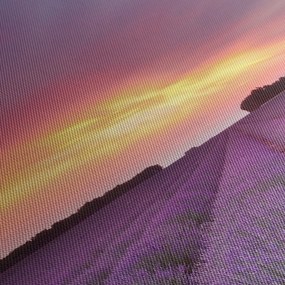 Obraz - Pole lawendy (170x50 cm)