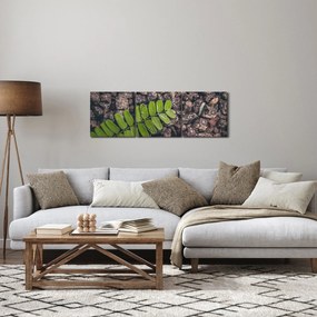 Obraz zielonej rośliny (z zegarem) (90x30 cm)