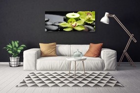 Obraz canvas Elegancja Białej Orchidei