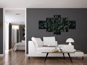 Obraz - Las (125x70 cm)
