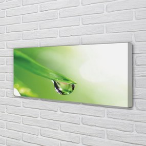 Obraz drukowany na płótnie Słoneczna Kropla na Liściu