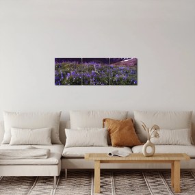 Obraz - Wulkan i kwiaty (z zegarem) (90x30 cm)