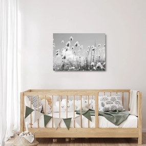 Obraz na szkle - Trawa z ogonkiem króliczka Boho (70x50 cm)