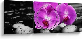 Obraz - Fioletowe orchidee (z zegarem) (90x30 cm)