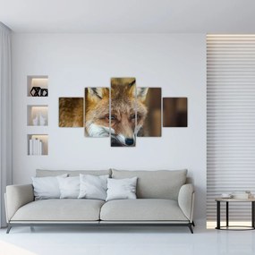 Obraz lisa (125x70 cm)
