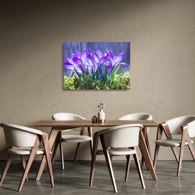 Obraz na szkle - kwiaty w deszczu (70x50 cm)