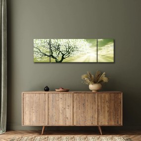 Obraz drzewa na łące (170x50 cm)