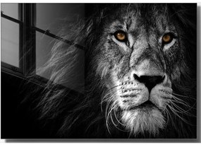 Szklany obraz 70x50 cm Lion – Wallity