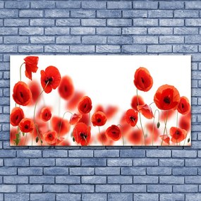 Obraz na płótnie Pole Czerwonych Maków